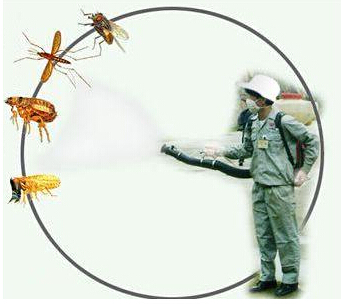 臭蟲防治