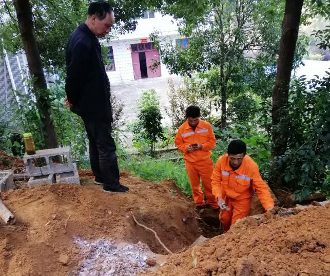白蟻防治實景圖