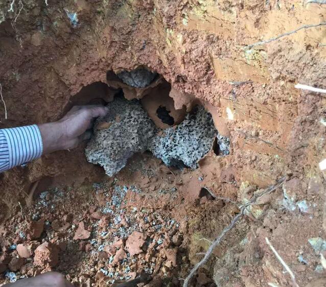 江堤大壩水庫水利白蟻治理