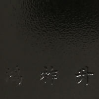 導電黑波（bō）紋